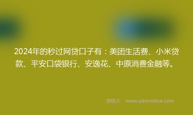2024年的秒过网贷口子有：美团生活费、小米贷款、平安口袋银行、安逸花、中原消费金融等。