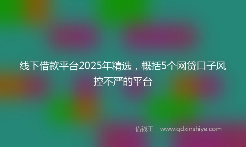 线下借款平台2025年精选，概括5个网贷口子风控不严的平台