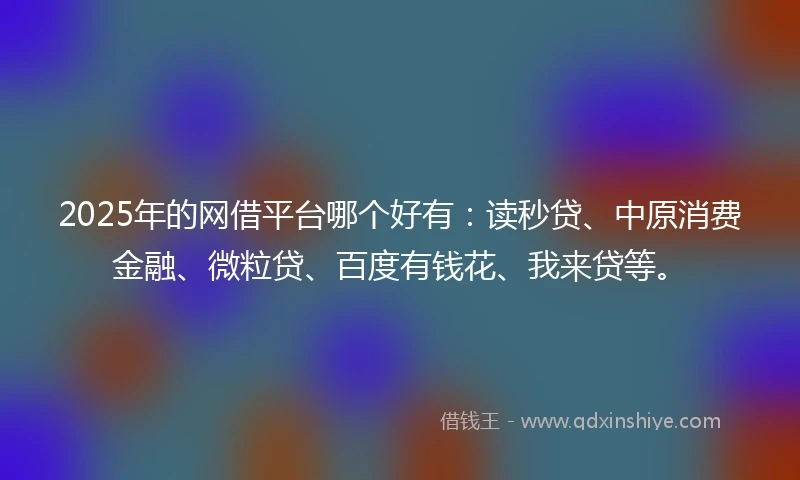 2025年的网借平台哪个好有：读秒贷、中原消费金融、微粒贷、百度有钱花、我来贷等。