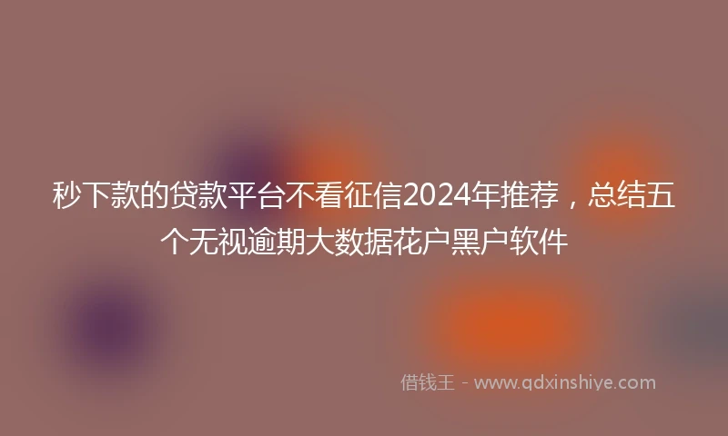 秒下款的贷款平台不看征信2024年推荐，总结五个无视逾期大数据花户黑户软件