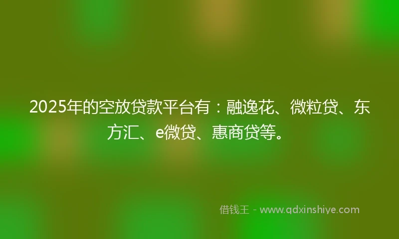 2025年的空放贷款平台有：融逸花、微粒贷、东方汇、e微贷、惠商贷等。