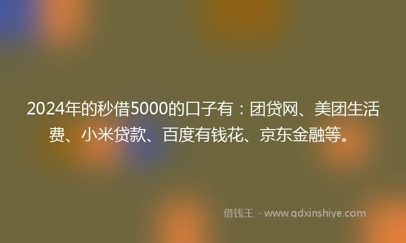 2024年的秒借5000的口子有：团贷网、美团生活费、小米贷款、百度有钱花、京东金融等。
