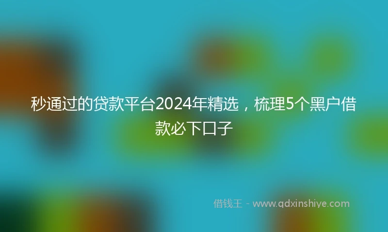 秒通过的贷款平台2024年精选，梳理5个黑户借款必下口子