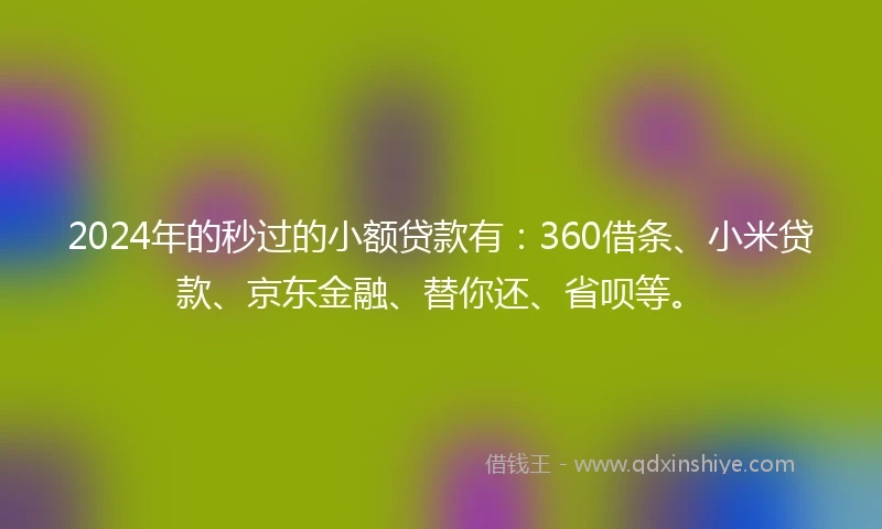 2024年的秒过的小额贷款有：360借条、小米贷款、京东金融、替你还、省呗等。