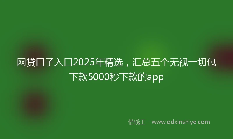 网贷口子入口2025年精选，汇总五个无视一切包下款5000秒下款的app