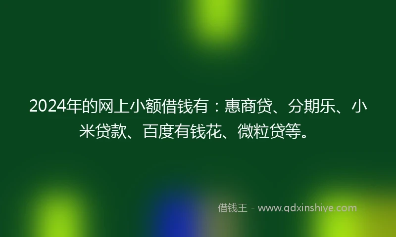 2024年的网上小额借钱有：惠商贷、分期乐、小米贷款、百度有钱花、微粒贷等。