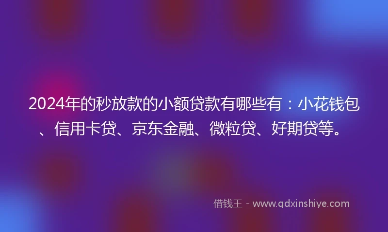 2024年的秒放款的小额贷款有哪些有：小花钱包、信用卡贷、京东金融、微粒贷、好期贷等。