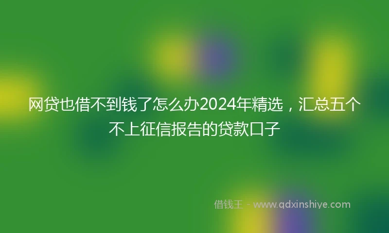 网贷也借不到钱了怎么办2024年精选,汇总五个不上征信报告的贷款口子