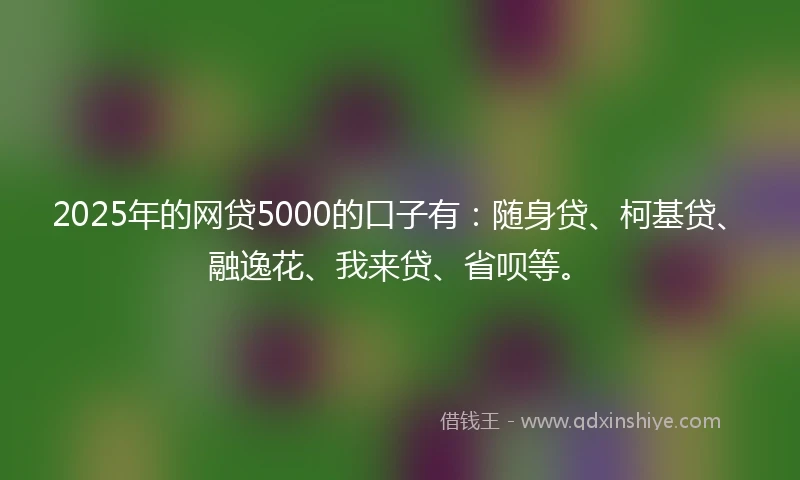 2025年的网贷5000的口子有：随身贷、柯基贷、融逸花、我来贷、省呗等。