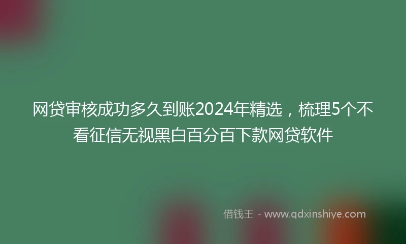 网贷审核成功多久到账2024年精选，梳理5个不看征信无视黑白百分百下款网贷软件