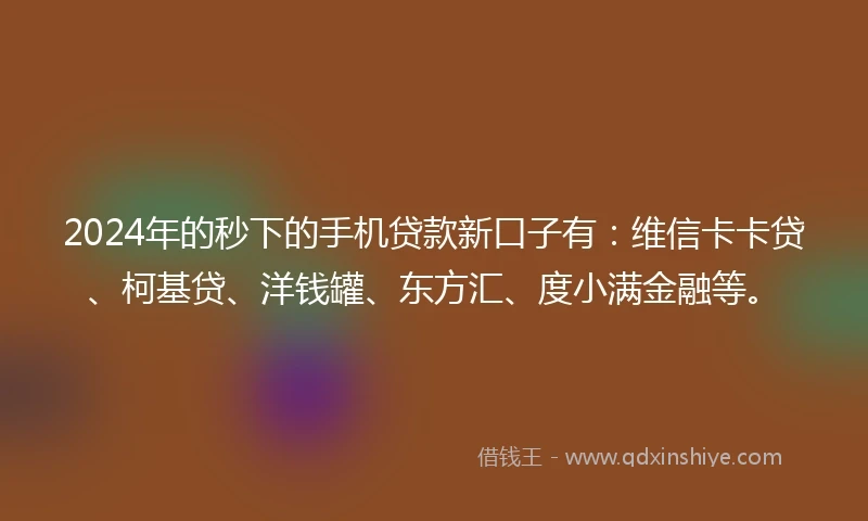 2024年的秒下的手机贷款新口子有：维信卡卡贷、柯基贷、洋钱罐、东方汇、度小满金融等。