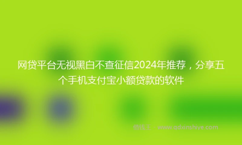 网贷平台无视黑白不查征信2024年推荐，分享五个手机支付宝小额贷款的软件