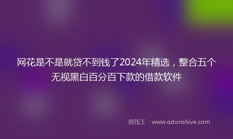网花是不是就贷不到钱了2024年精选，整合五个无视黑白百分百下款的借款软件