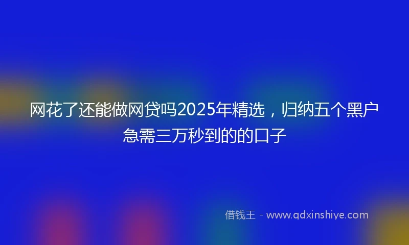 网花了还能做网贷吗2025年精选，归纳五个黑户急需三万秒到的的口子