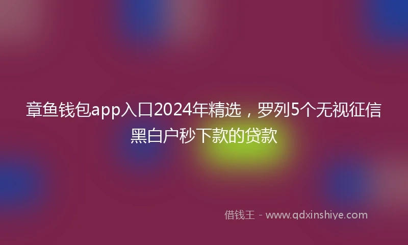 章鱼钱包app入口2024年精选，罗列5个无视征信黑白户秒下款的贷款
