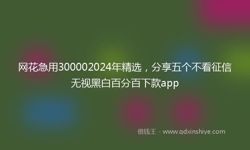 网花急用300002024年精选，分享五个不看征信无视黑白百分百下款app