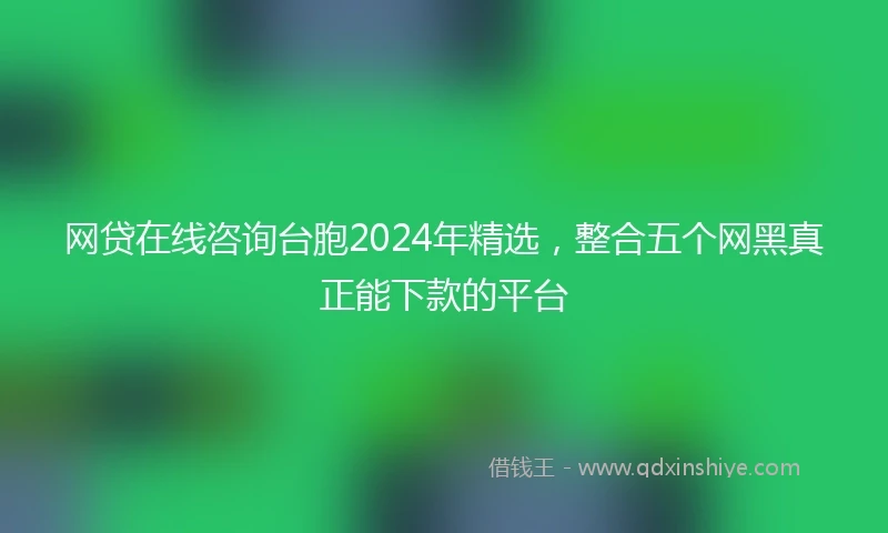网贷在线咨询台胞2024年精选，整合五个网黑真正能下款的平台