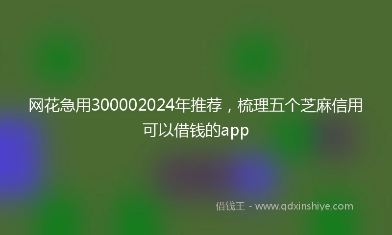 网花急用300002024年推荐，梳理五个芝麻信用可以借钱的app