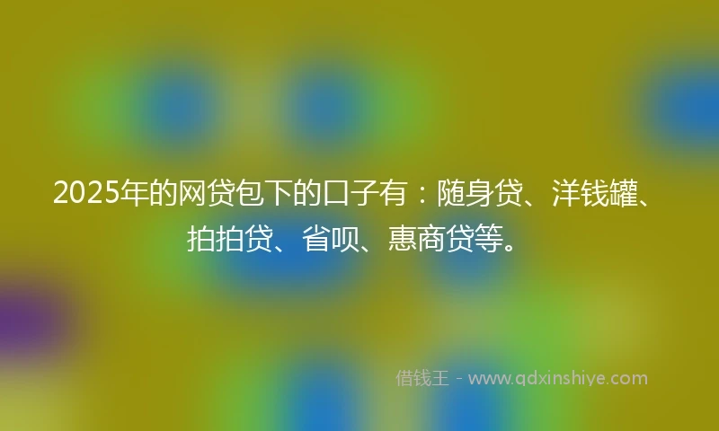 2025年的网贷包下的口子有：随身贷、洋钱罐、拍拍贷、省呗、惠商贷等。