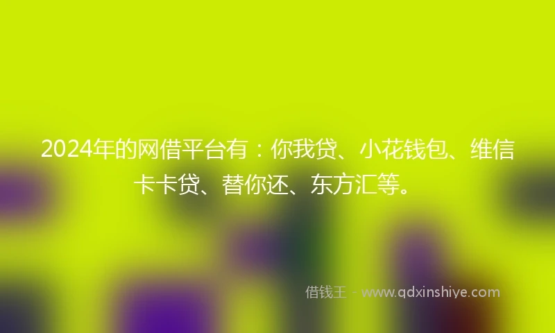 2024年的网借平台有：你我贷、小花钱包、维信卡卡贷、替你还、东方汇等。