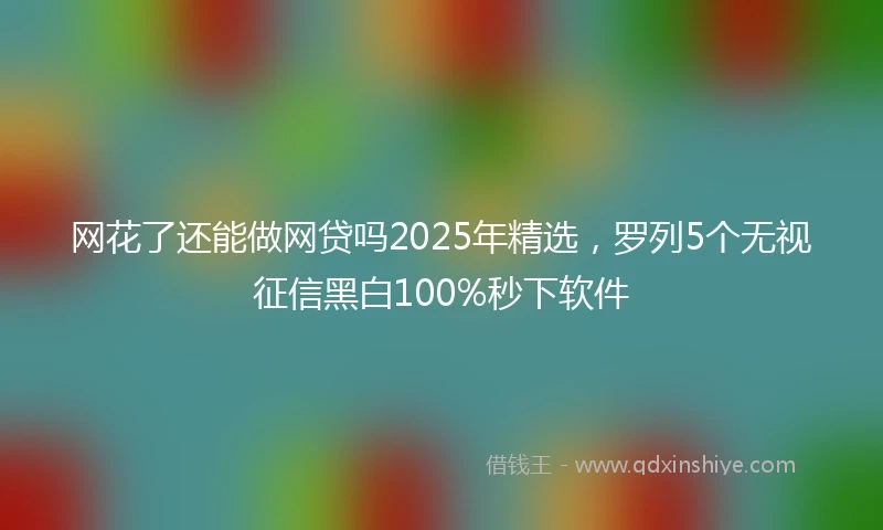 网花了还能做网贷吗2025年精选，罗列5个无视征信黑白100%秒下软件