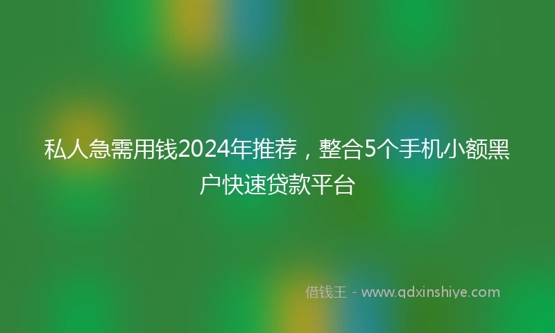 私人急需用钱2024年推荐，整合5个手机小额黑户快速贷款平台