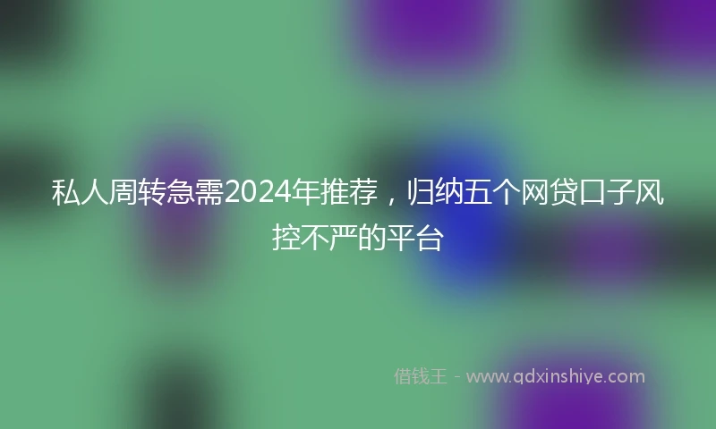 私人周转急需2024年推荐，归纳五个网贷口子风控不严的平台