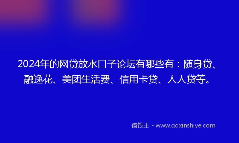 2024年的网贷放水口子论坛有哪些有：随身贷、融逸花、美团生活费、信用卡贷、人人贷等。