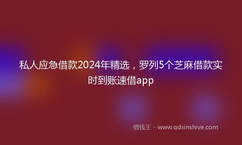 私人应急借款2024年精选，罗列5个芝麻借款实时到账速借app