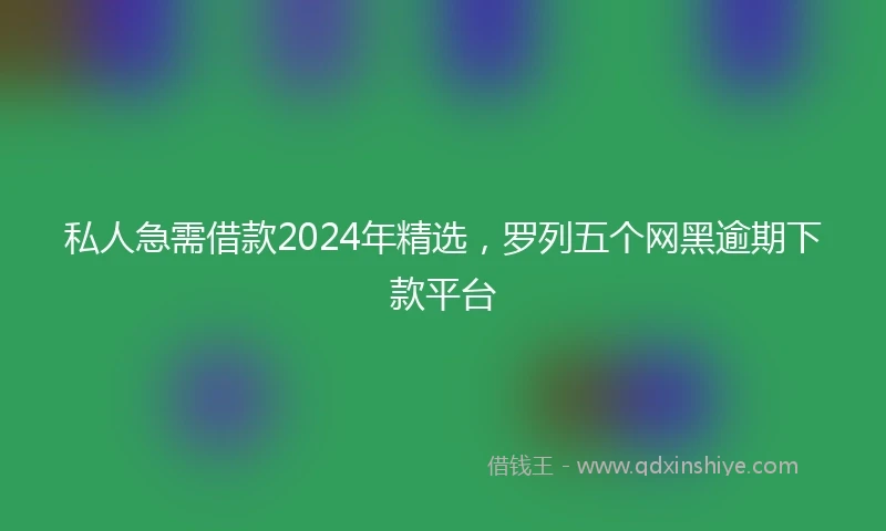 私人急需借款2024年精选，罗列五个网黑逾期下款平台