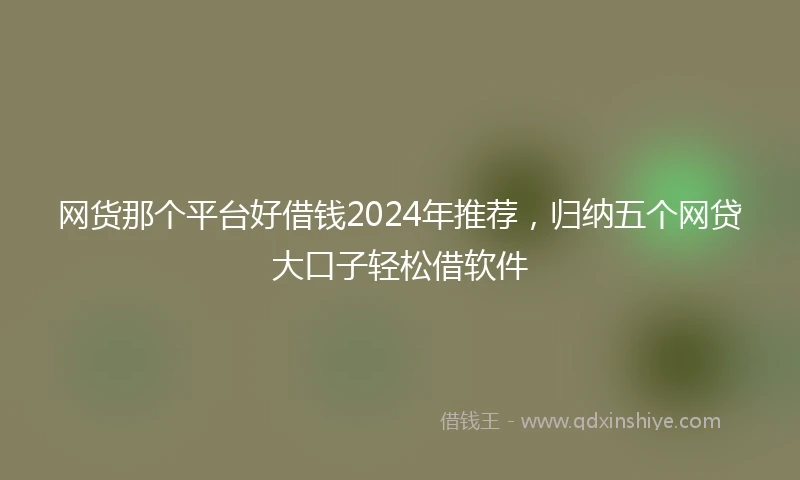 网货那个平台好借钱2024年推荐，归纳五个网贷大口子轻松借软件