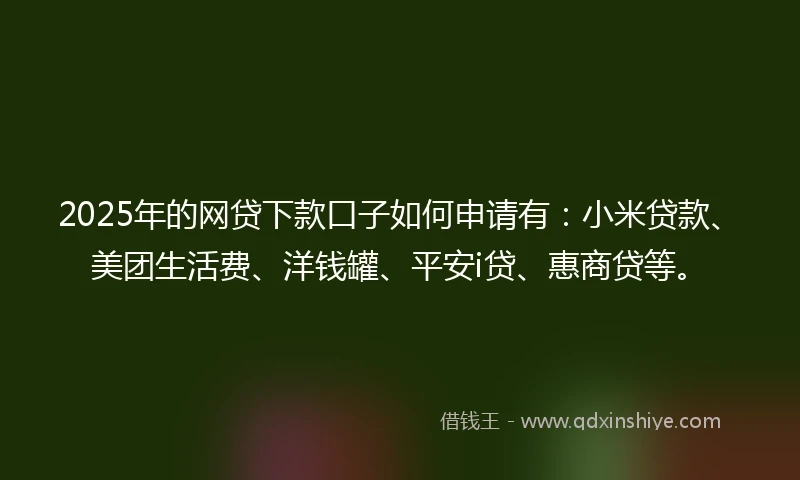 2025年的网贷下款口子如何申请有：小米贷款、美团生活费、洋钱罐、平安i贷、惠商贷等。