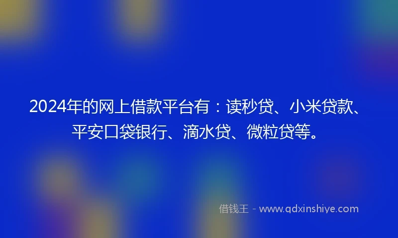 2024年的网上借款平台有：读秒贷、小米贷款、平安口袋银行、滴水贷、微粒贷等。