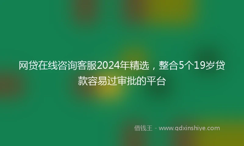 网贷在线咨询客服2024年精选，整合5个19岁贷款容易过审批的平台
