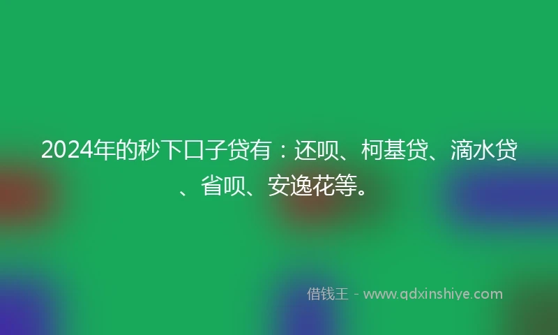 2024年的秒下口子贷有：还呗、柯基贷、滴水贷、省呗、安逸花等。
