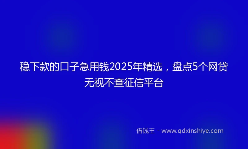 稳下款的口子急用钱2025年精选，盘点5个网贷无视不查征信平台
