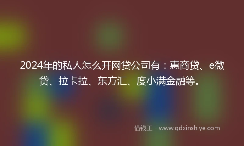 2024年的私人怎么开网贷公司有：惠商贷、e微贷、拉卡拉、东方汇、度小满金融等。