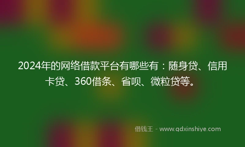 2024年的网络借款平台有哪些有：随身贷、信用卡贷、360借条、省呗、微粒贷等。