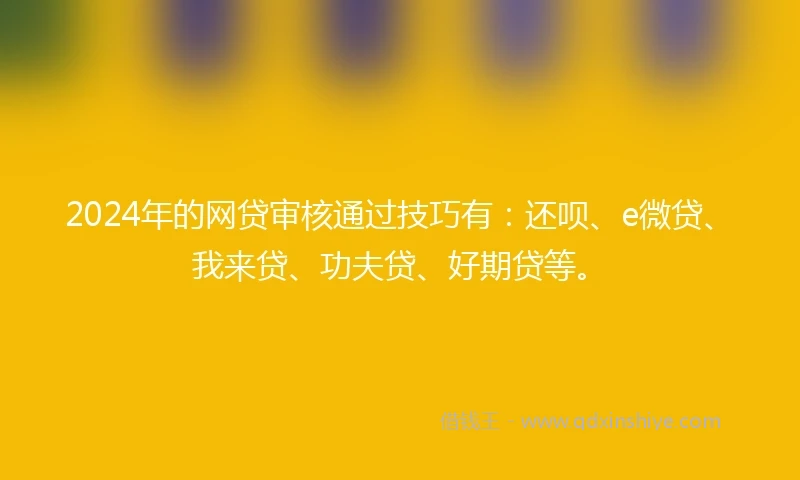 2024年的网贷审核通过技巧有：还呗、e微贷、我来贷、功夫贷、好期贷等。