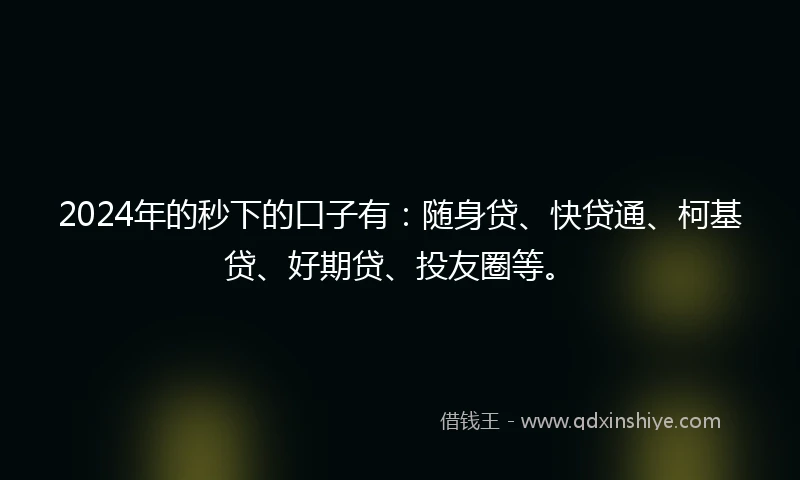 2024年的秒下的口子有：随身贷、快贷通、柯基贷、好期贷、投友圈等。
