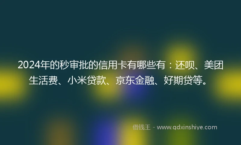 2024年的秒审批的信用卡有哪些有：还呗、美团生活费、小米贷款、京东金融、好期贷等。