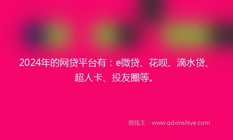 2024年的网贷平台有：e微贷、花呗、滴水贷、超人卡、投友圈等。