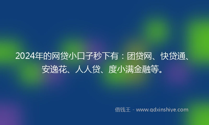 2024年的网贷小口子秒下有：团贷网、快贷通、安逸花、人人贷、度小满金融等。