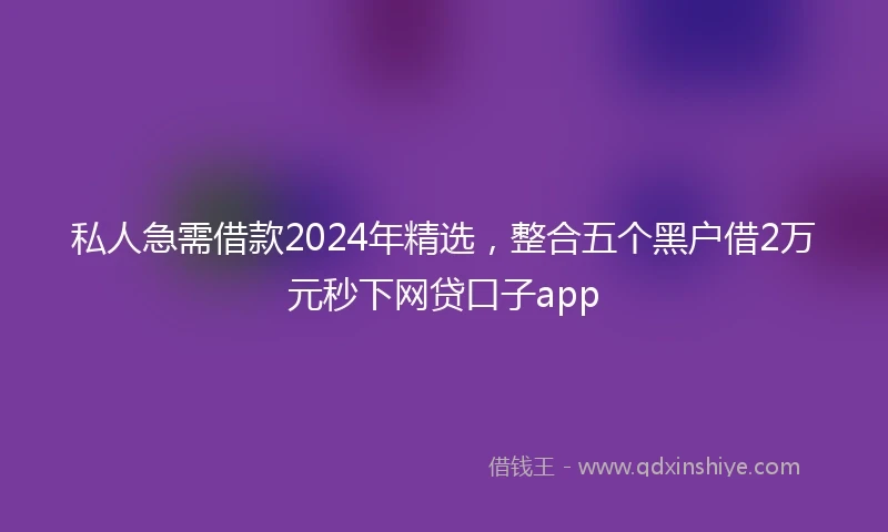 私人急需借款2024年精选，整合五个黑户借2万元秒下网贷口子app