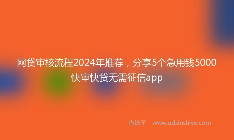 网贷审核流程2024年推荐，分享5个急用钱5000快审快贷无需征信app