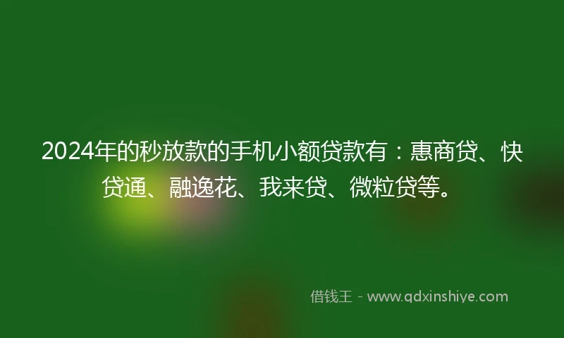 2024年的秒放款的手机小额贷款有：惠商贷、快贷通、融逸花、我来贷、微粒贷等。