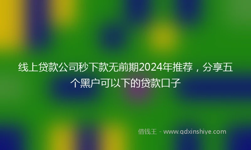 线上贷款公司秒下款无前期2024年推荐，分享五个黑户可以下的贷款口子