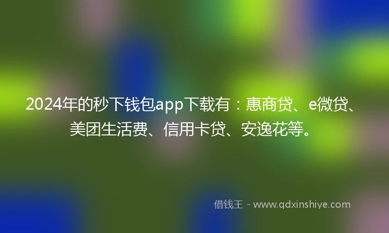 2024年的秒下钱包app下载有：惠商贷、e微贷、美团生活费、信用卡贷、安逸花等。