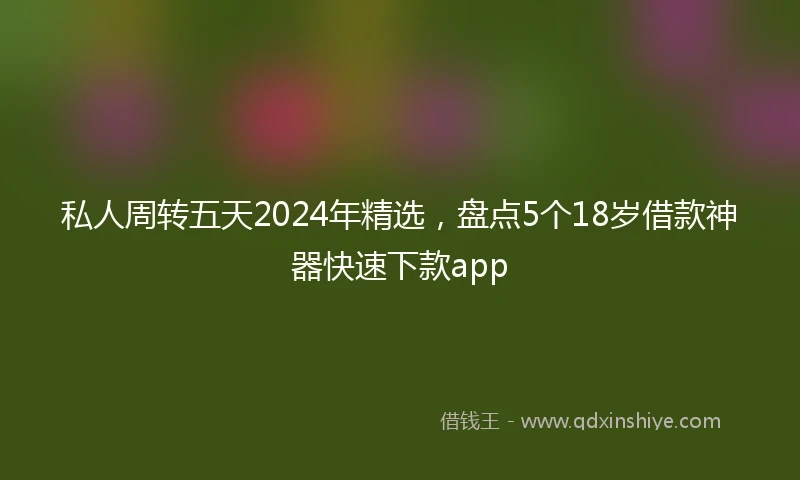 私人周转五天2024年精选，盘点5个18岁借款神器快速下款app