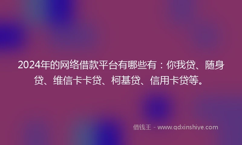 2024年的网络借款平台有哪些有：你我贷、随身贷、维信卡卡贷、柯基贷、信用卡贷等。